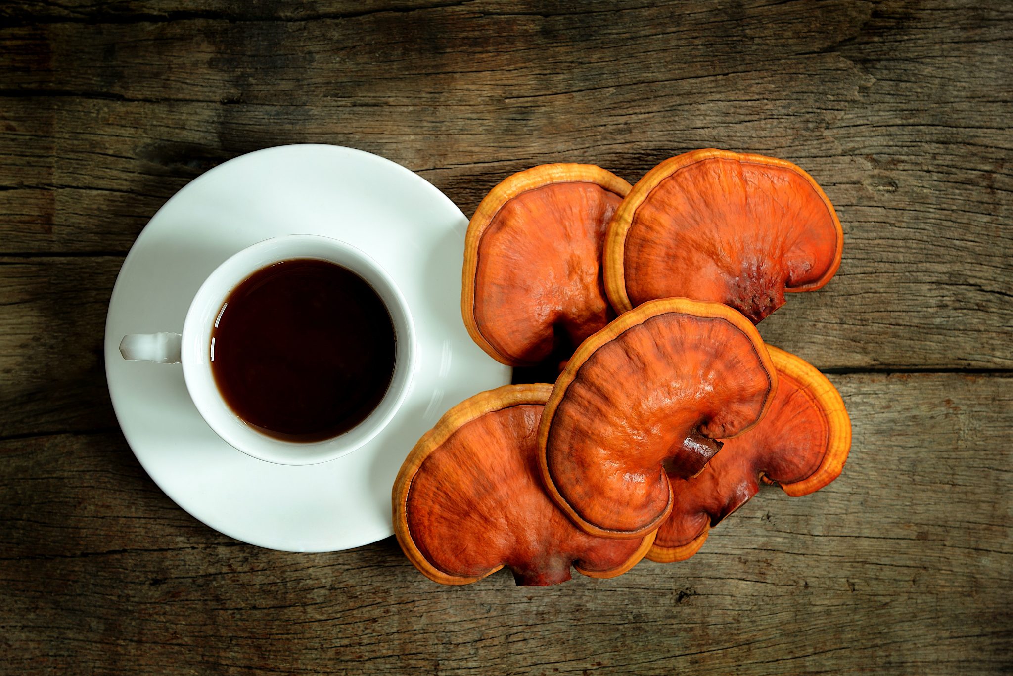 reishi-tea