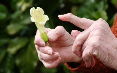 What Most Doctors Don’t Tell You About Rheumatoid Arthritis