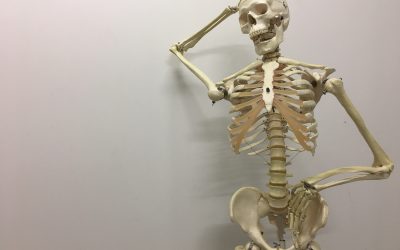 The Osteoporosis-Calcium Myth