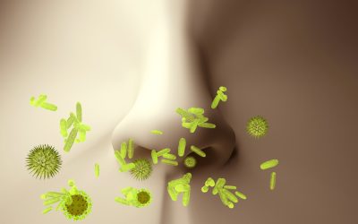 Here is a Proven Hay Fever Cure that Your Doctor Hasn’t Told You About