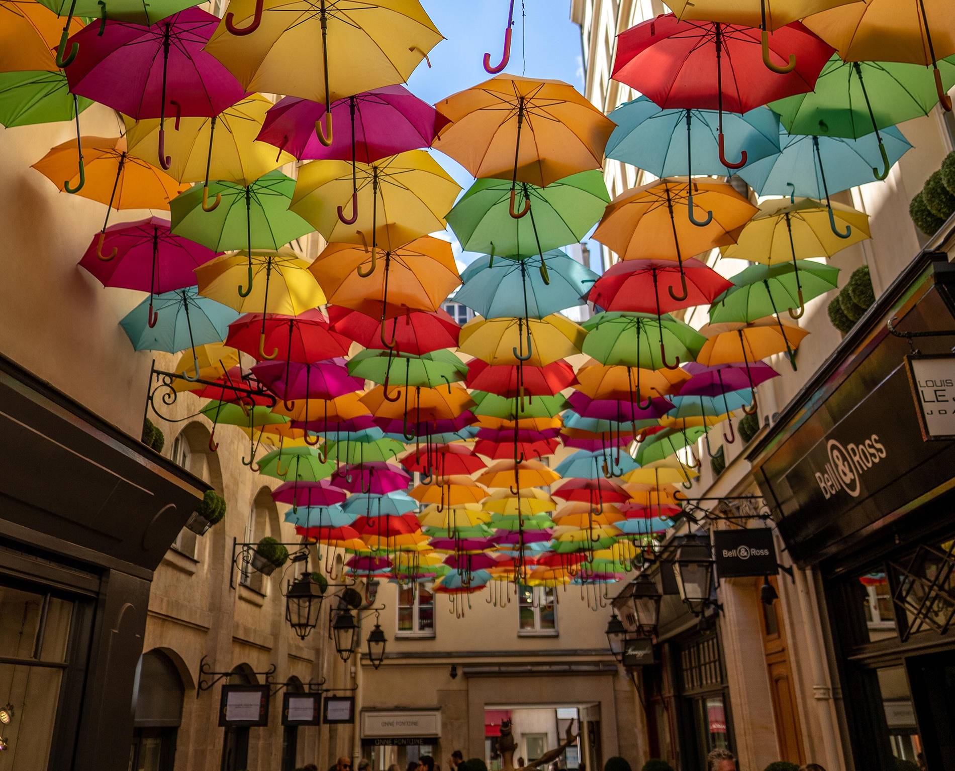 assorted-colour-umbrellas-2462918