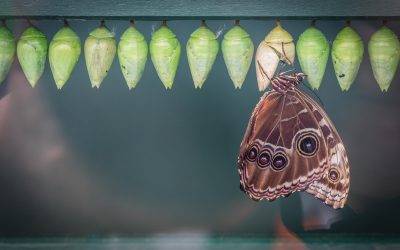 Thinking You Need to Change Up Your Life? Here are 3 Signs that You Must