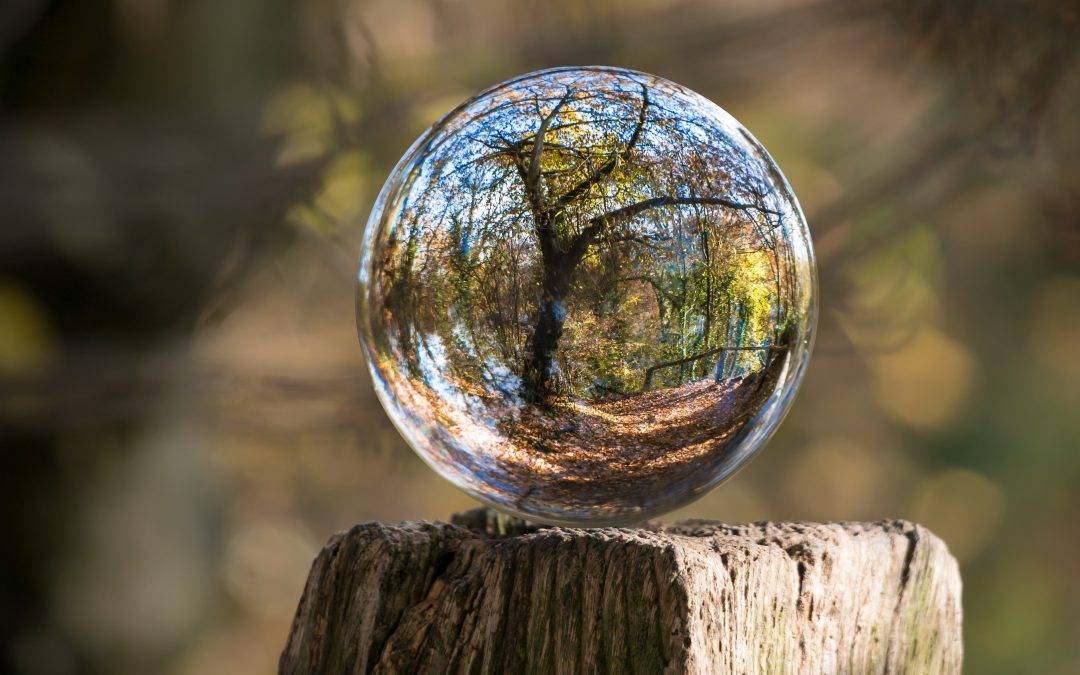 4 Effortless Ways to Reconnect with Nature in 15 Minutes or Less