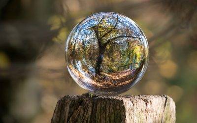 4 Effortless Ways to Reconnect with Nature in 15 Minutes or Less