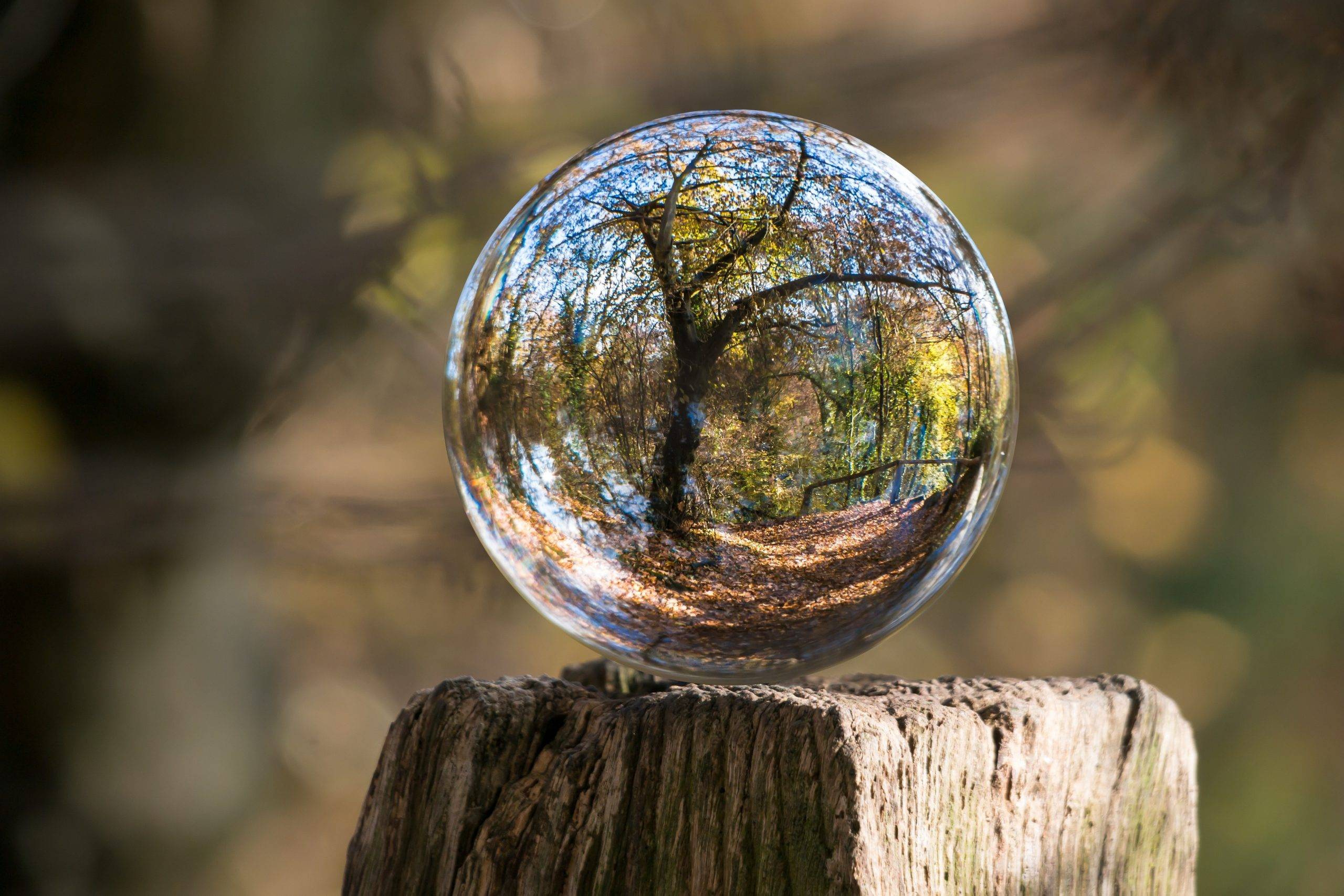 ball-ball-shaped-blur-color-235615