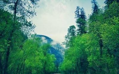 I am creating a new path for my life.