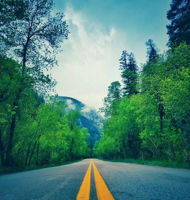 I am creating a new path for my life.