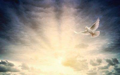 7 Secrets to Stepping into Your Spirituality