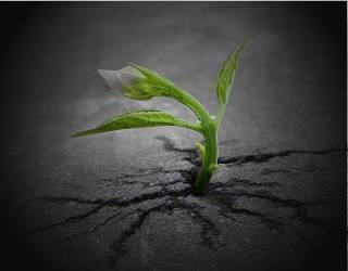 Personal Development and Human Potential