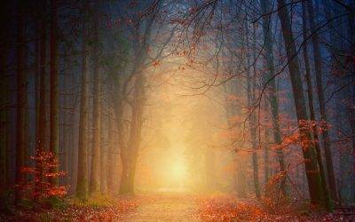 5 Steps to Finding Your Spiritual Path