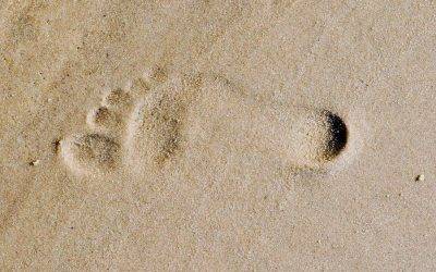 Staying Grounded In A Chaotic World