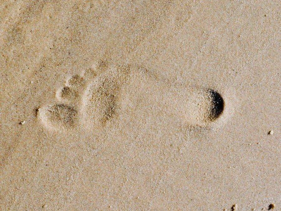 Staying Grounded In A Chaotic World