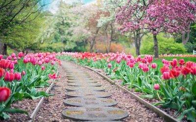 5 Ways to Know When You’ve Found Your Spiritual Path