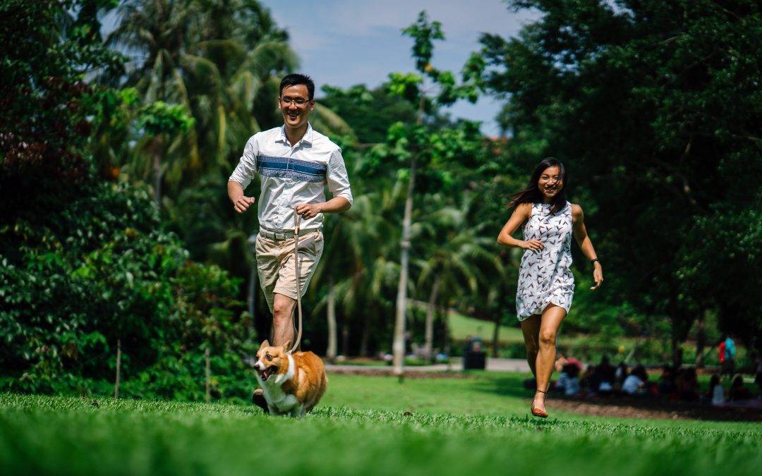 Is Your Dog Out of Shape? Get Fit Together!
