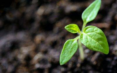 6 Ways Personal Growth Gives You Control Over Yourself and Your Life