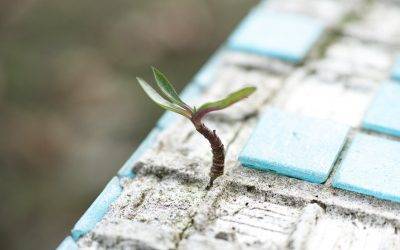Motivation Through Adversity
