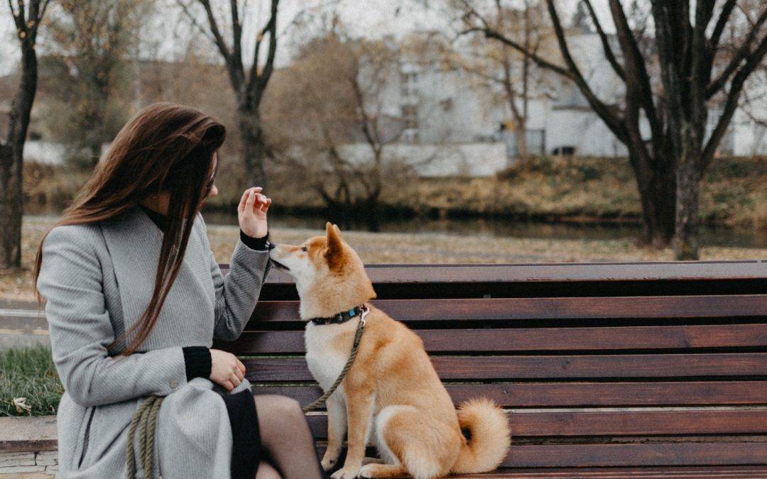 8 Reasons Why You’re Still Single