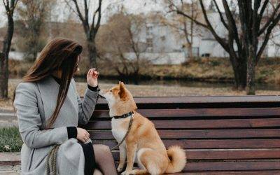 8 Reasons Why You’re Still Single