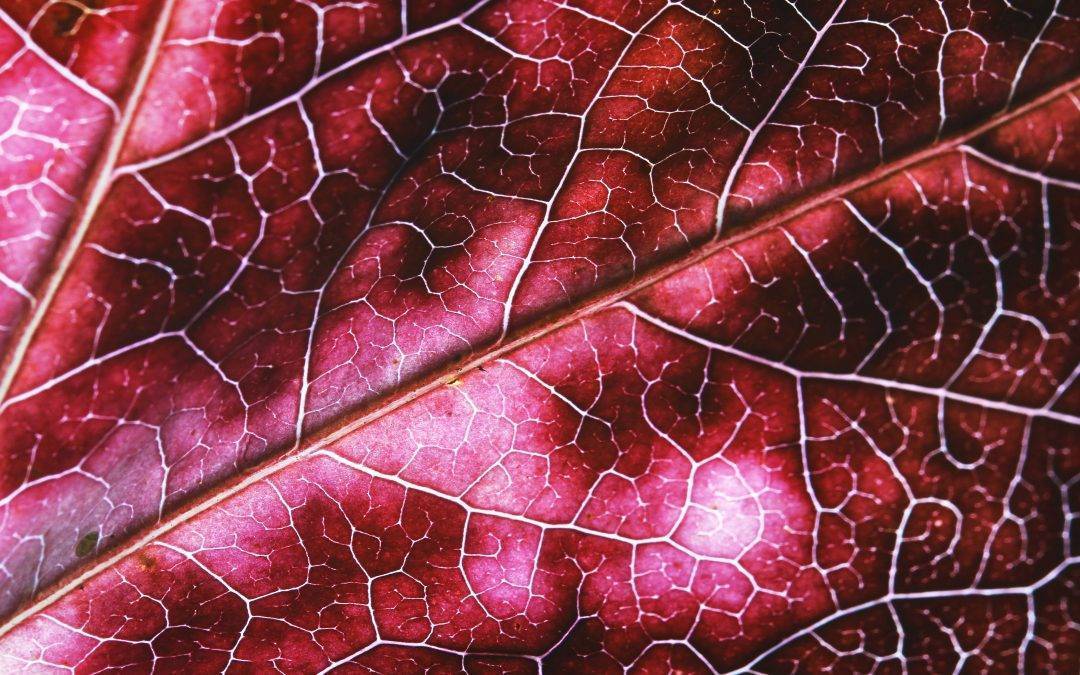 Use Support Groups for Traumatic Experiences