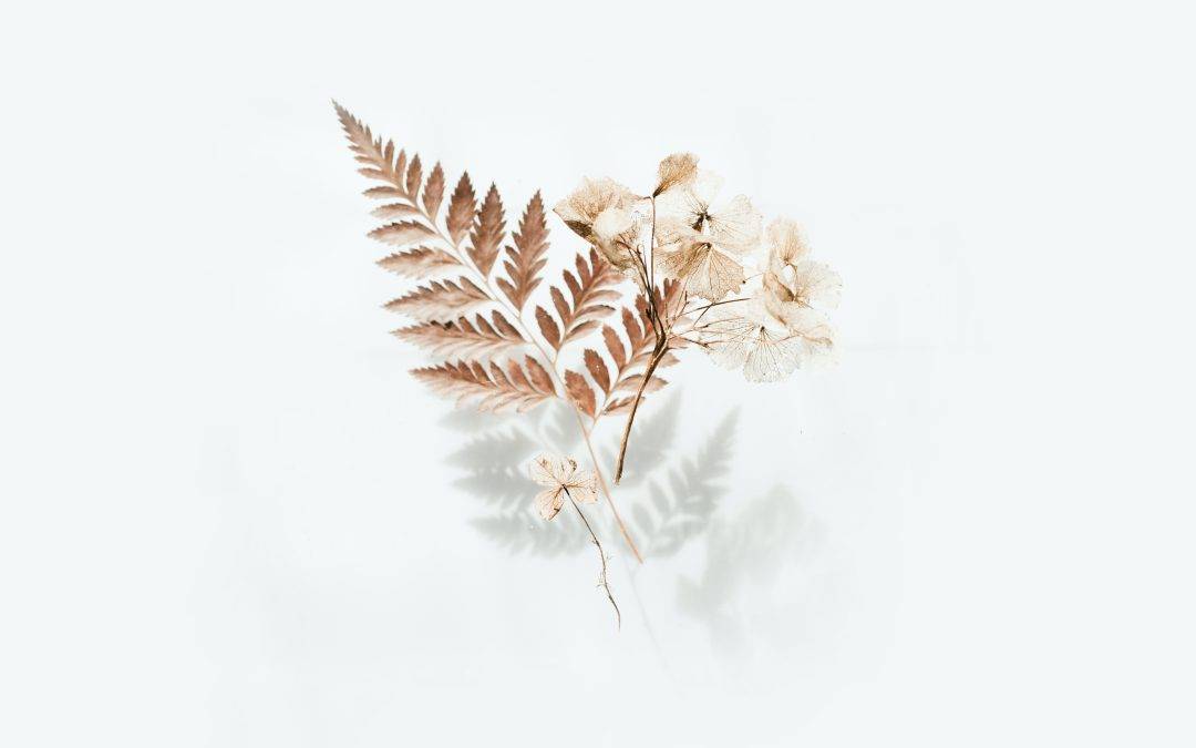 Reframing Limiting Beliefs