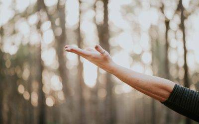 Fruits of the Spirit: How Spiritual Wellness Increases Faith in Self